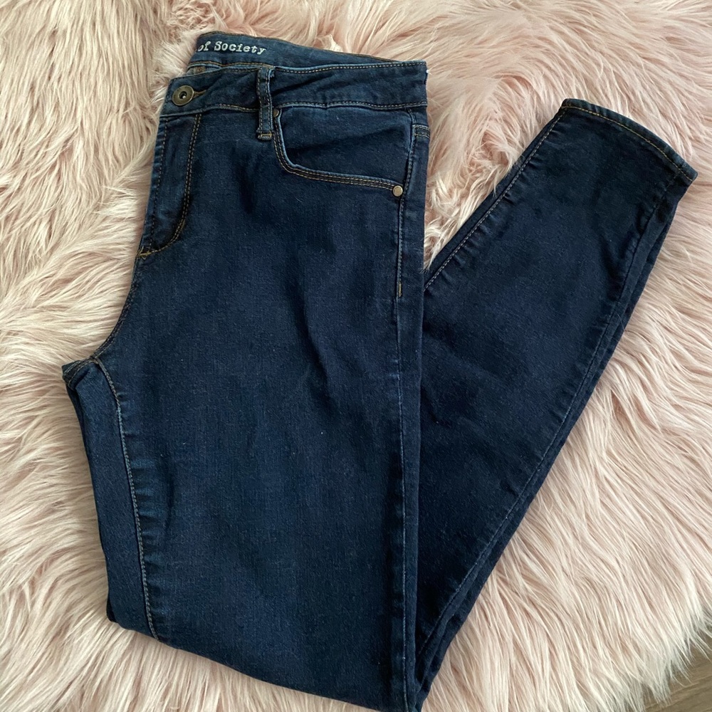 Articles of Society Dark Wash Skinny Jeans